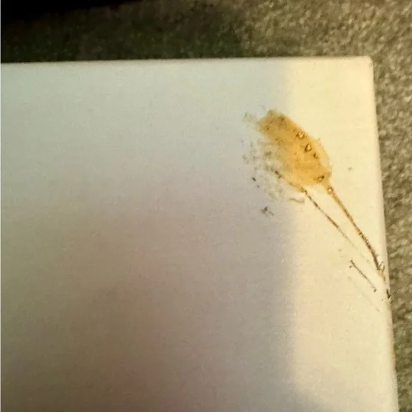 Jimmy Choo Gold/Champage Porto Platform Wedge Espadrille Sandal EU36/6 - Picture 10 of 16